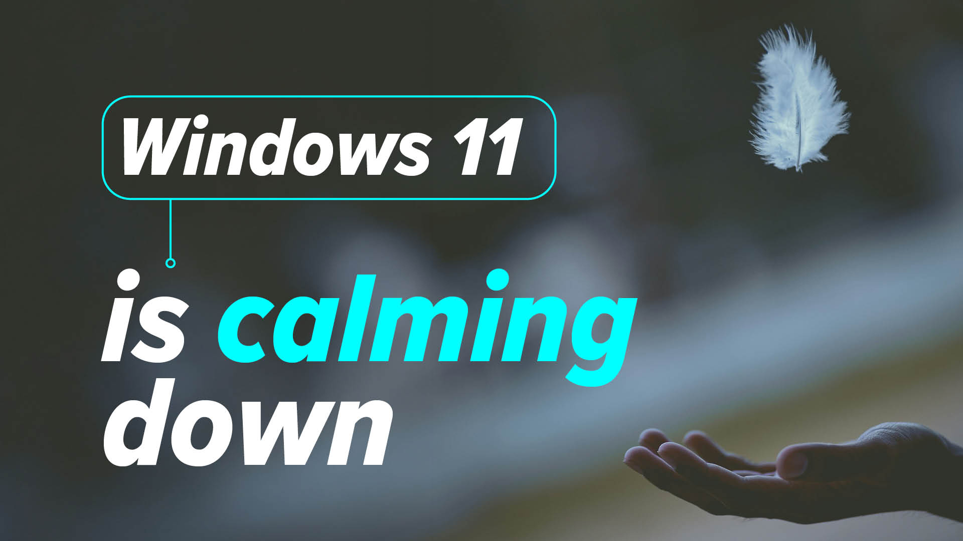Microsoft Issues